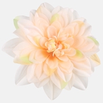 Autumn Cream (W536-14)