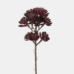 Burgundy (A808-02)