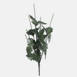 Green (N161S)