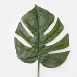 Green (A193)