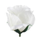 Cream (W734-02)