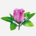 T.T. Purple (W484-58)