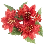 Red (U018S-01)