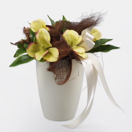 Hellebore composition