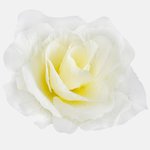 Lt. Yellow (W646-02)