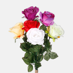 Mix 1 (L498-01)