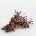 Brown (Y593)