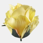 T.T. Yellow (W732-09)