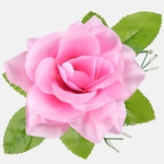 Pink (W485-57)