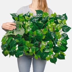 Plant panel 60 x 40 cm MR016