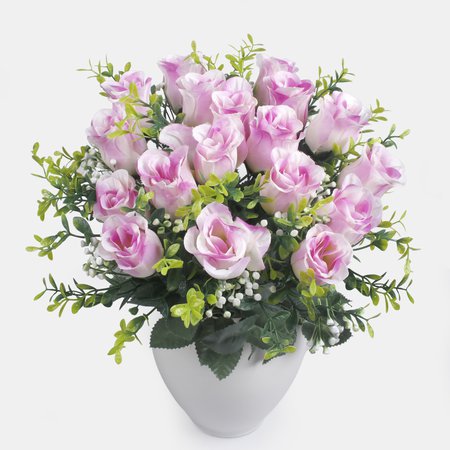 Rose x 18