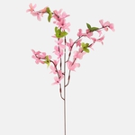 Pink (G002-03)