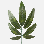 Green (A187-01)