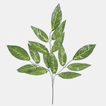 Lt. Green (F147-01)