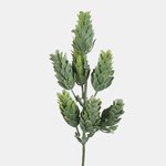 Green (A805-04)