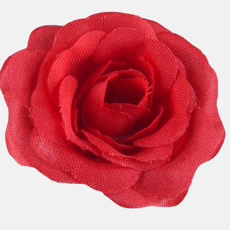 Mini rose