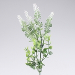 White/Green (A496K-03)