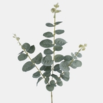 Green (A731-01)