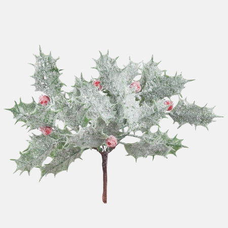 Frosted holly