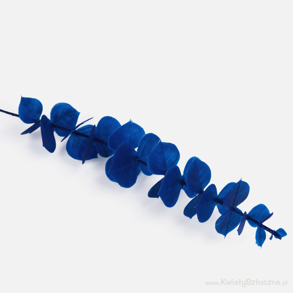 Eucalyptus A061 Leafy twigs