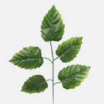 Green (F244-01)