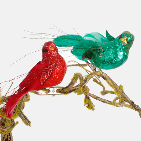 Bird on a clip
