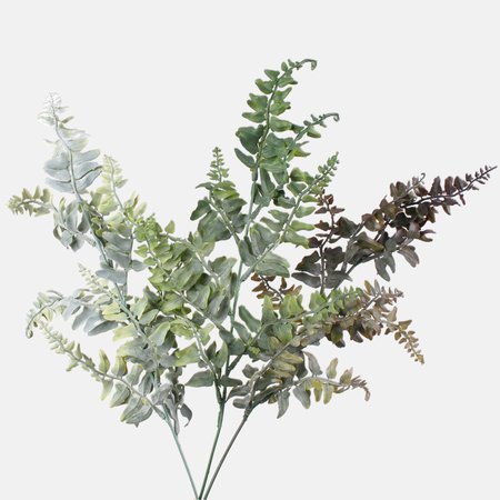 Fern twig