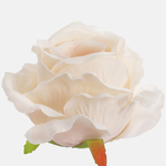 Autumn Cream (W697-25)