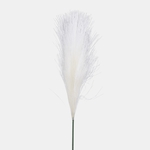 Ivory (A728-01)