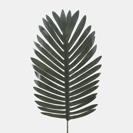 Palm
