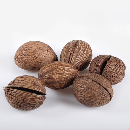 Mintola ball x 6 pcs
