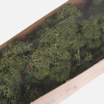 Moss Green (A437-02)