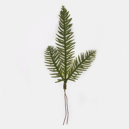 Spruce twig
