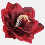 Red/Black (W613-08)