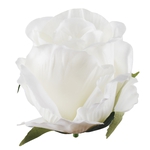 Cream (W732-02)