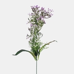 Purple (A786K-02)