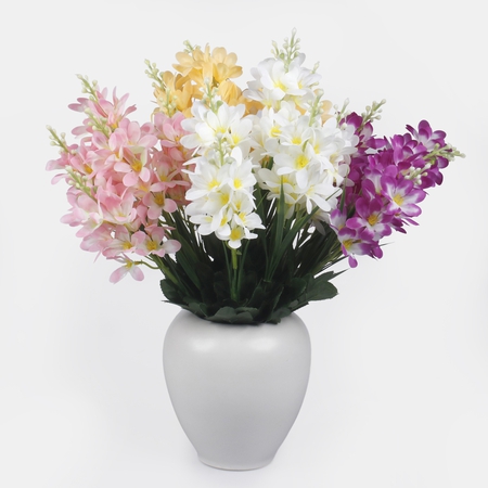 Gillyflower x 5