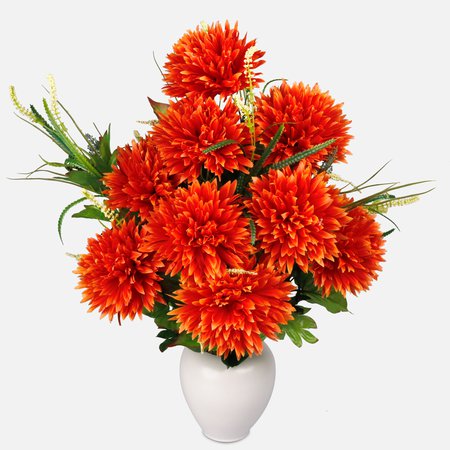 Chrysanthemum x 18