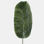 Green (A555)