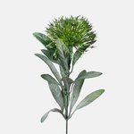 Green (A742-02)