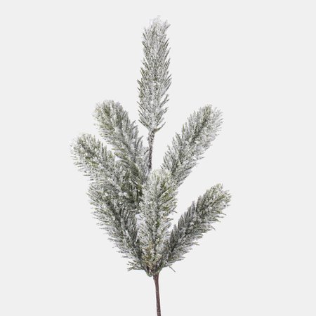 Snow-covered spruce twig 28 cm