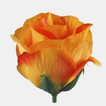 T.T. Orange (W734-07)