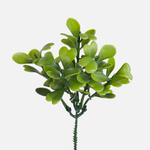 T.T. Green (A623-01)