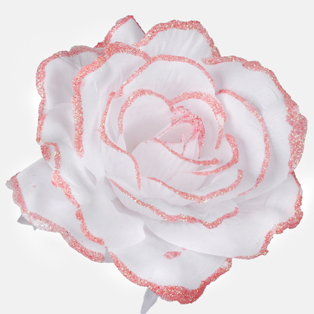 Rose with glitter