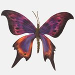 Purple (AN115L-01)