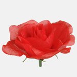 Lt. Red (W646-03)