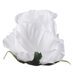 Pure White (W732-01)