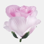 Lt. Pink (W734-06)