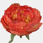 Orange (W689-21)