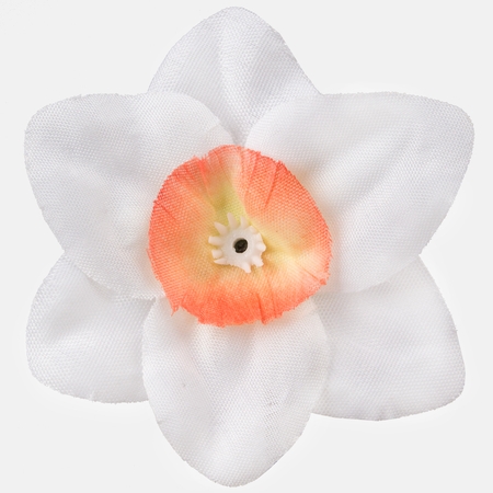 Daffodil